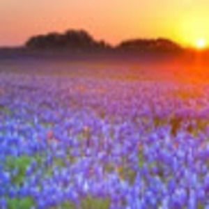 Meet your Posher, Piper